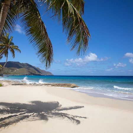Carambola Beach Resort St. Croix, Us Virgin Islands Fountain Luaran gambar