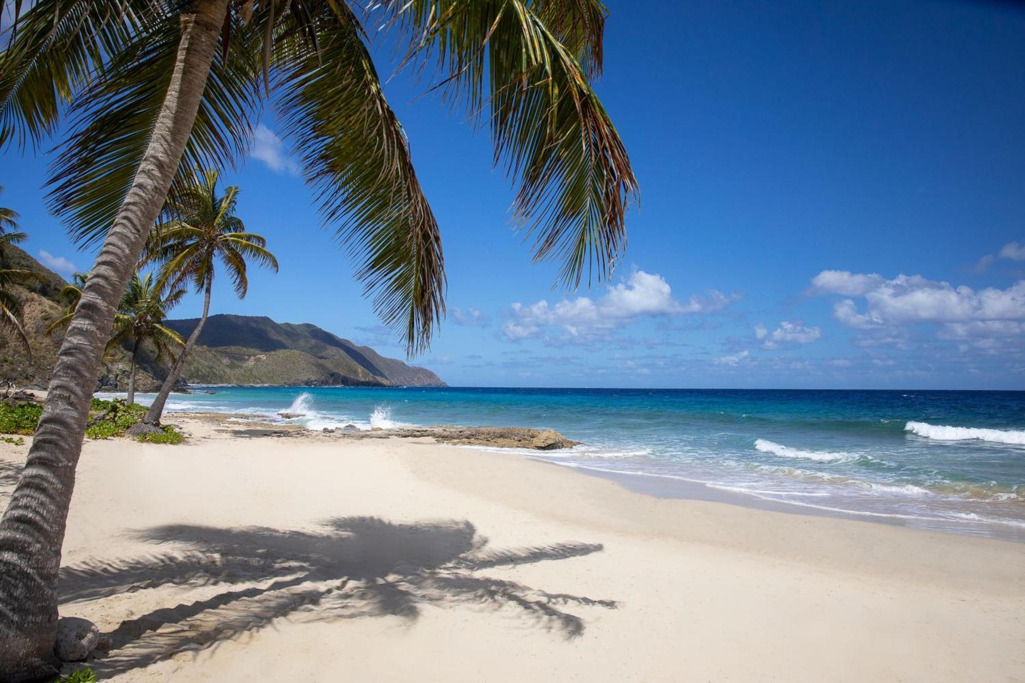 Carambola Beach Resort St. Croix, Us Virgin Islands Fountain Luaran gambar