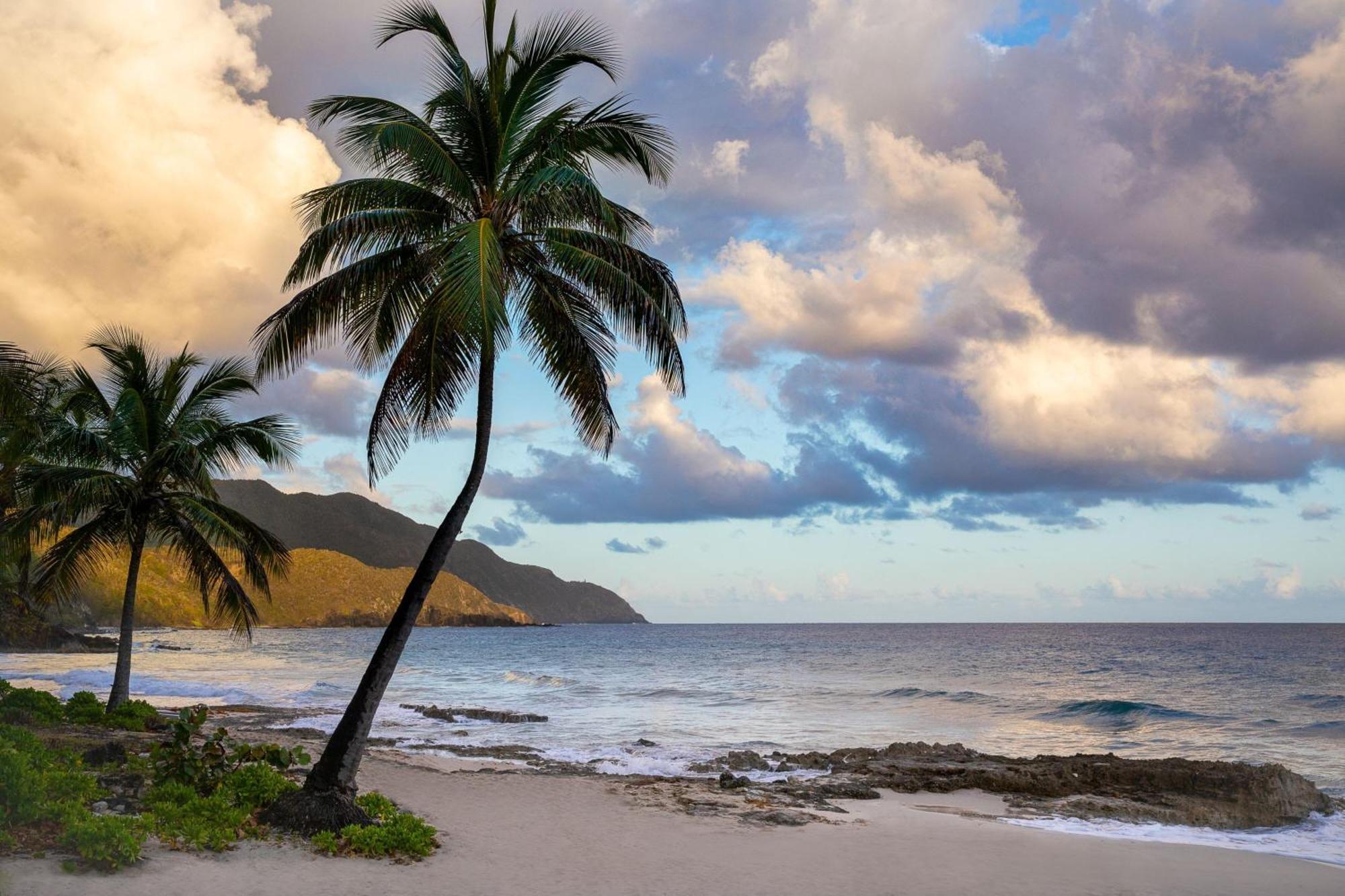 Carambola Beach Resort St. Croix, Us Virgin Islands Fountain Luaran gambar